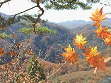 租车遭遇意外，弹出气囊赔付千元的背后故事